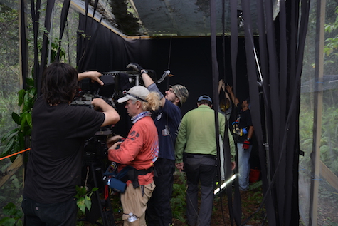 filming in the forest